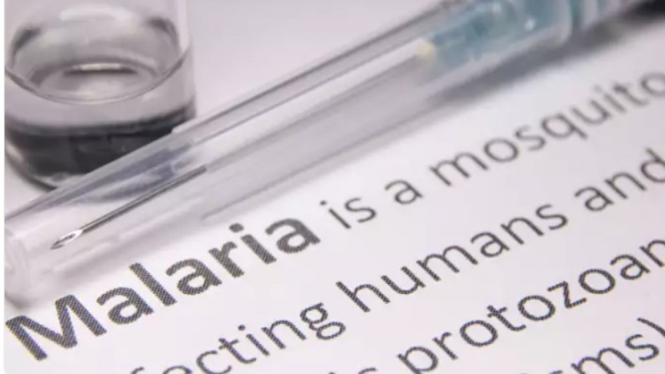Hari Malaria Sedunia 