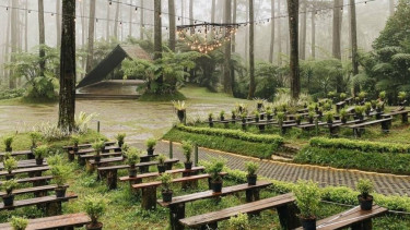 Orchid Forest