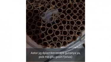 Wafer Stick Di Plastiki