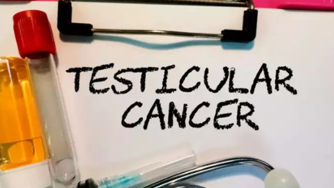 Kanker testis 