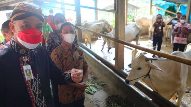 Gubernur Jateng Ganjar Pranowo di Jepara.