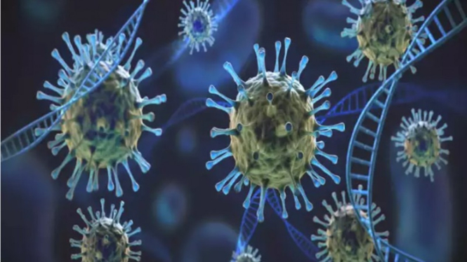Virus Corona atau Covid-19.