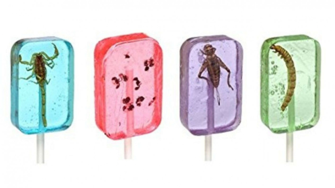 lolipop serangga