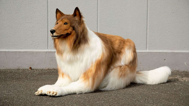 Kostum anjing yang dipakai pria di Jepang