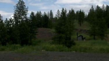 Lokasi Lily diserang puma ganas di area camping di Washington AS