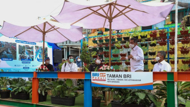 Taman BRI