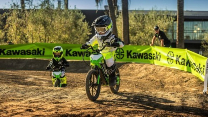 Kawasaki Elektrode
