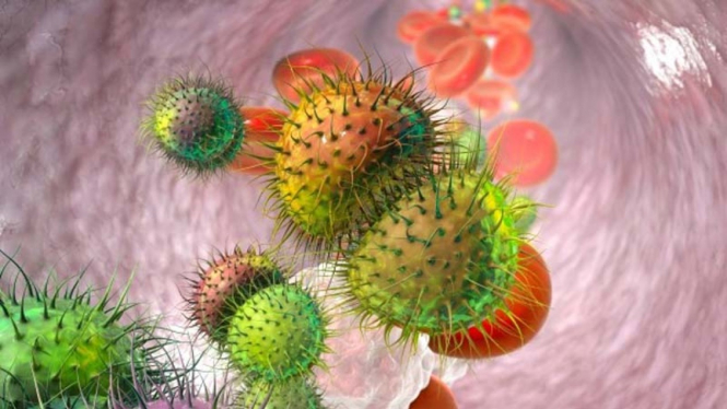 Ilustrasi meningitis 