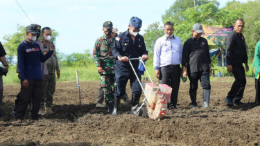 Kementan menggelar tanam perdana komoditas jagung di Desa Tanjung Pakis, Karawang, Jawa Barat. 