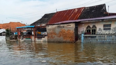 Ilustrasi banjir rob