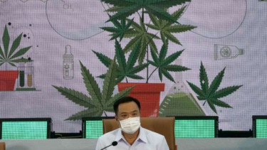 Menteri Kesehatan Thailand Anutin Charnvirakul umumkan penggunaan ganja legal