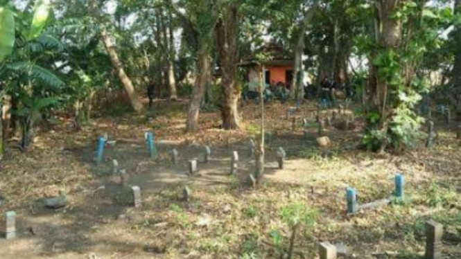 Desa Jungsemi, Jawa Tengah