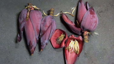 Jantung Pisang