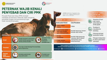 Penyebab dan Ciri PMK
