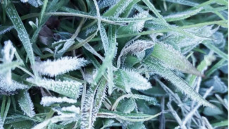 Fenomena Langka Muncul Salju di Dieng, Berlangsung Selama 1 Dasarian