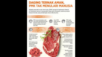 Daging Ternak Aman, PMK Tak Tulari Manusia