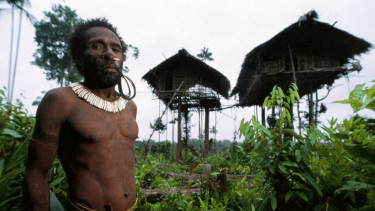 Suku Korowai di Papua yang terkenal dengan rumah pohon tinggi