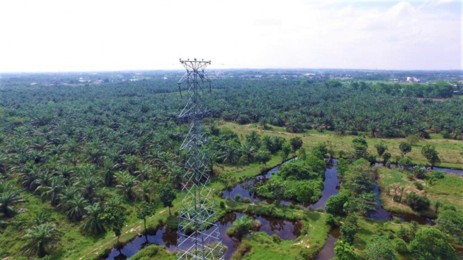 Tower listrik SUTT milik PLN di Pekanbaru roboh karena besi penyangga dicuri