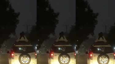Viral Penampakan Makhluk Hitam di Atas Mobil 