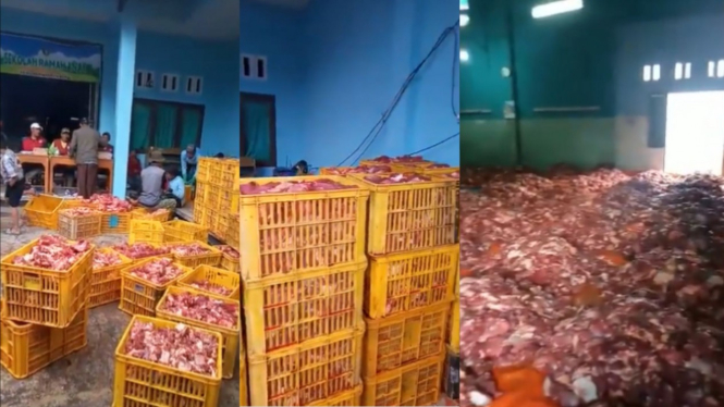 Warga Desa Batur, Banjarnegara kurban 73 sapi dan 254 kambing
