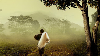 Unik, Di Dusun Ini Matahari Pagi Telat Muncul dan Malam Lebih Cepat: Lokasi Ada di Yogyakarta