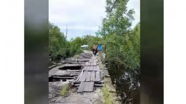 Jembatan viral