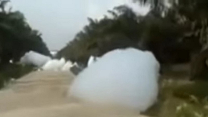 Gumpalan putih mirip awan berjatuhan di Perkebunan Sawit, Kampar, Riau