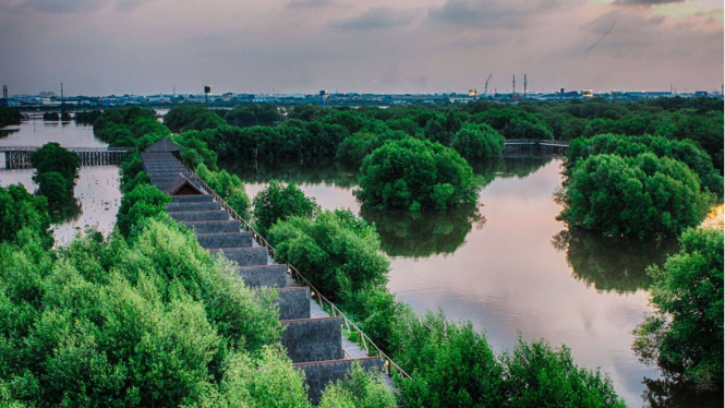 Hutan Mangrove Jakarta, Pantai Indah Kapuk
