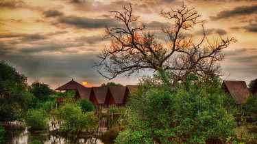 Hutan Mangrove Jakarta, Pantai Indah Kapuk (PIK).
