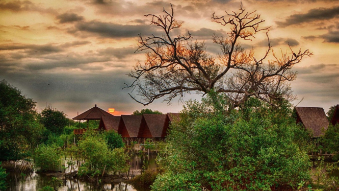 Hutan Mangrove Jakarta, Pantai Indah Kapuk (PIK).