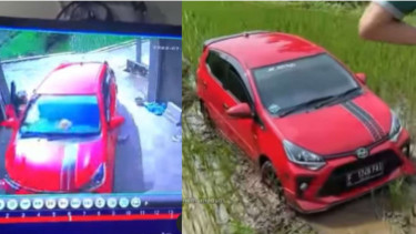 Mobil jatuh ke sawah karena lupa rem tangan  