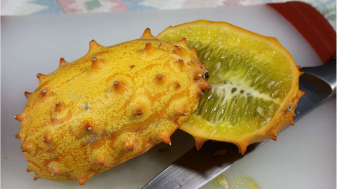Melon bertanduk