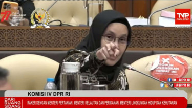 Anggota Komisi IV Riezky Aprilia 