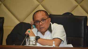 Wakil Ketua Komisi II DPR RI, Junimart Girsang