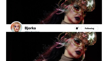 Header Twitter Bjorka (atas) dan cover album Bjork 'Fossora' (bawah).