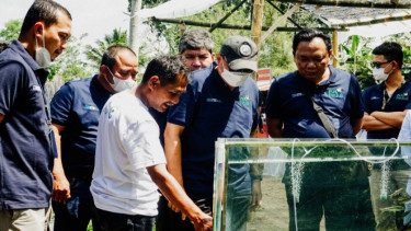  Dukung Pelestarian Ikan Wader Pari, PLN Gandeng Gamawader UGM