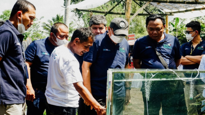  Dukung Pelestarian Ikan Wader Pari, PLN Gandeng Gamawader UGM