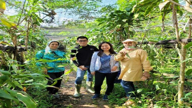 Petani vanili