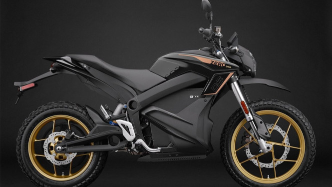 Motor listrik Zero DSR