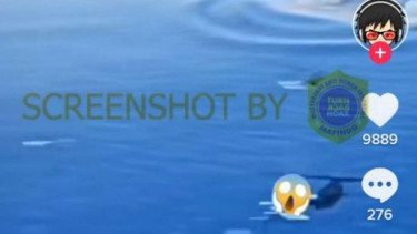 Jepretan layar sebuah video yang diunggah oleh akun Tiktok yang memperlihatkan kemunculan ikan besar atau makhluk raksasa di laut yang saling mendekat, sementara sejumlah helikopter terbang di atasnya, dan diklaim sebagai paus Nabi Yunus.