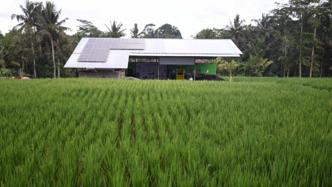 Desa Energi Berdikari Pertamina