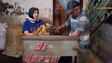 Petani tembakau asal Temanggung, Suyadi dan istrinya, Siti Rohmah.