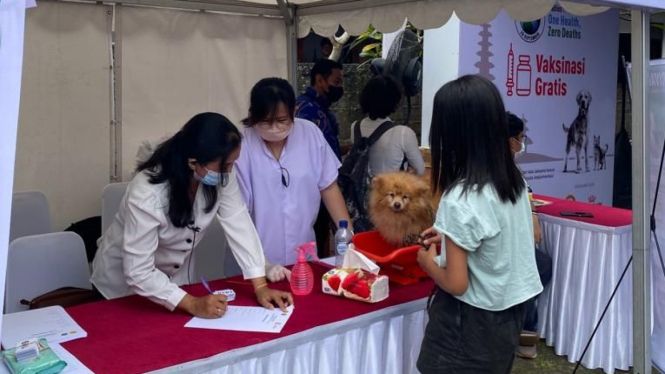Suntik Vaksin Rabies