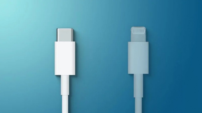 Ilustrasi Type-C dengan kabel Lightning.