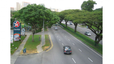 Photo Mini 3