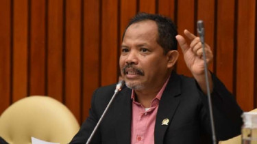 Anggota Komisi IV DPR RI Johan Rosihan