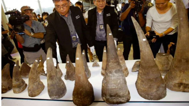 Penyelundupan Cula Badak
