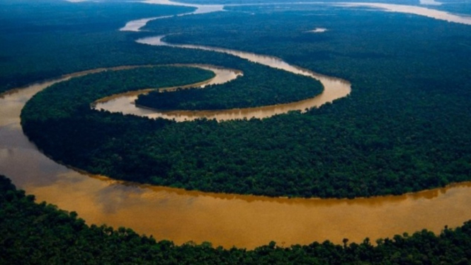 Sungai Amazon