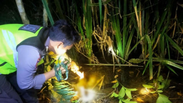 Penemuan kerangka manusia di Kabupaten Tebo, Jambi.