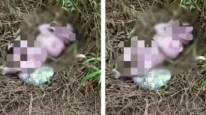 Penemuan bayi  oleh warga Teluk Pakedai, Kalimantan Barat